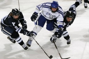 战队备战策略大揭秘，战队赛战备